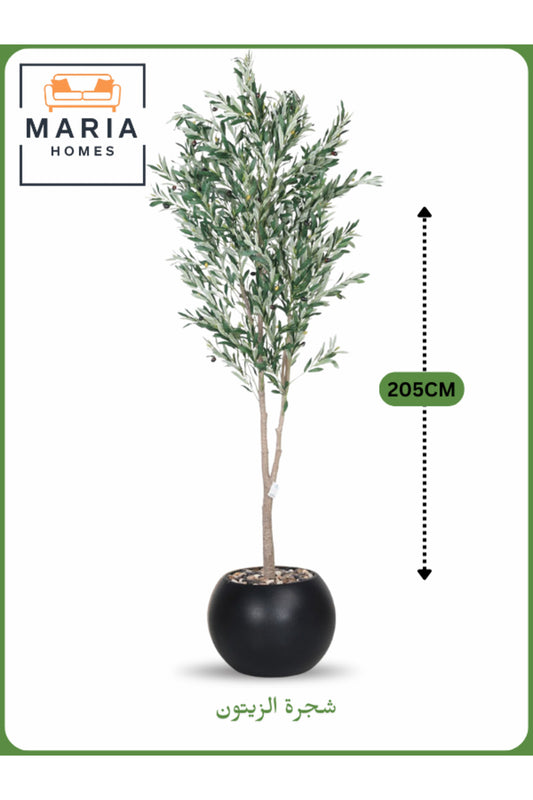Artificial Olive Tree 205 cm Ð Tall Indoor Plant with Black Plastic Pot