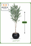Artificial Olive Tree 205 cm Ð Tall Indoor Plant with Black Plastic Pot