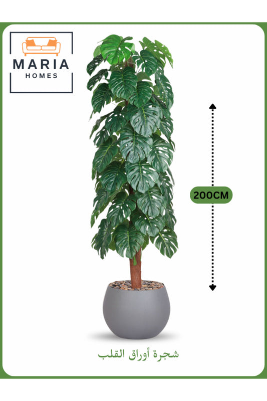 Artificial Monstera Tree 200 cm Ð Decorative Indoor Plant with Gray Pot