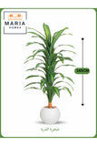 Artificial Corn Leaf Tree 145 cm Ð Decorative Indoor Plant with White Pot