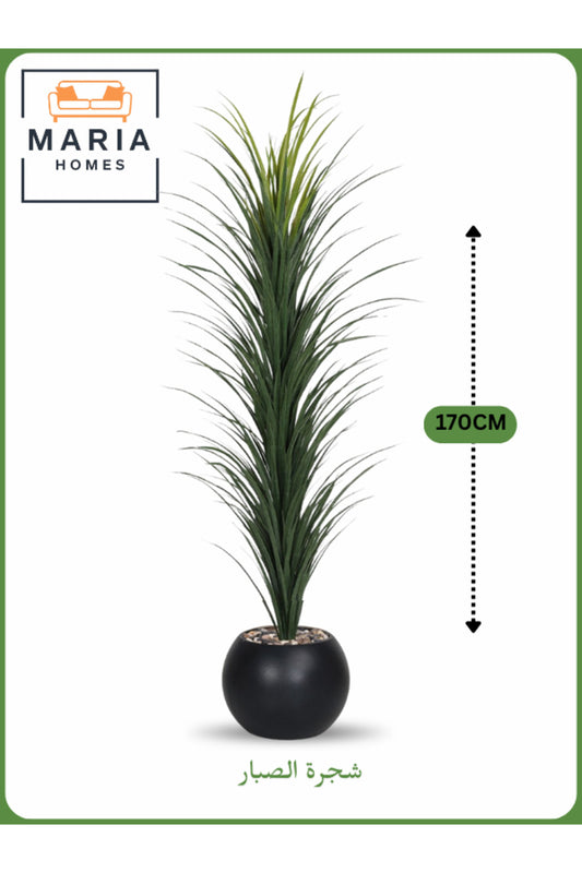 Artificial Cactus Tree 170 cm Ð Indoor Decorative Plant with Black Pot