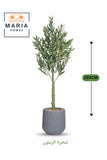 Artificial Olive Tree 150 cm Ð Decorative Indoor Plant with Gray Pot for Home & Office
