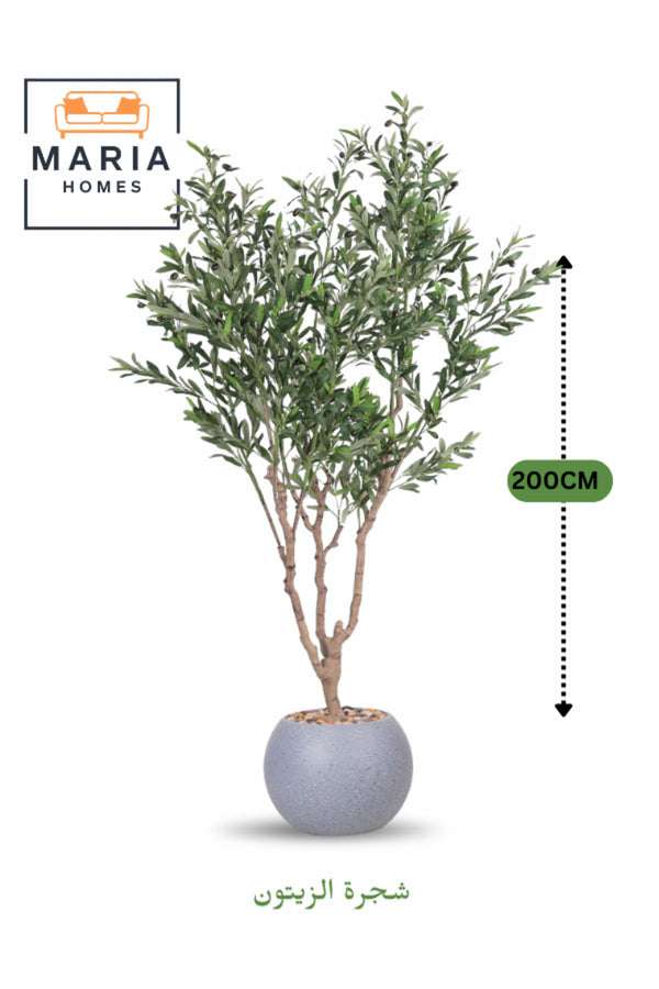 Artificial Olive Tree 200 cm Ð Indoor Decorative Plant with Grey Plastic Pot for Home & Office decor