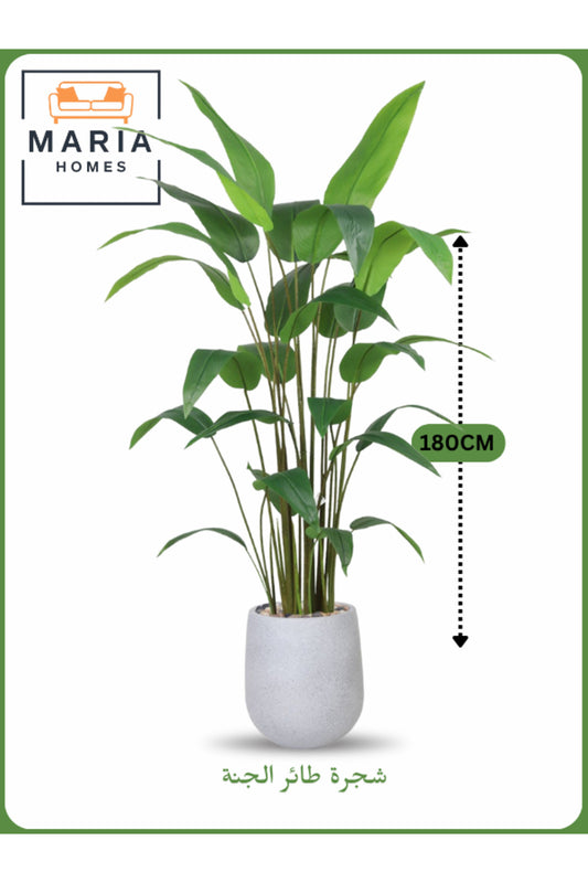 Artificial Bird of Paradise Tree 180 cm Ð Tall Indoor Plant with Light Gray Pot