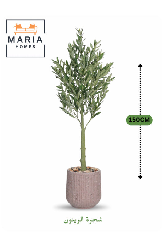 Artificial Olive Tree 150 cm Ð Indoor Decorative Plant with Pot for Home & Office