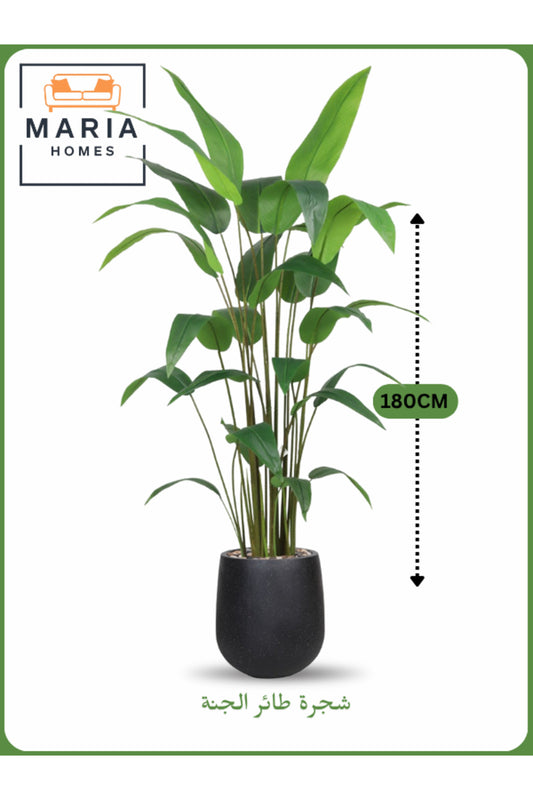 Artificial Bird of Paradise Tree 180 cm Ð Tall Indoor Plant with Black Pot
