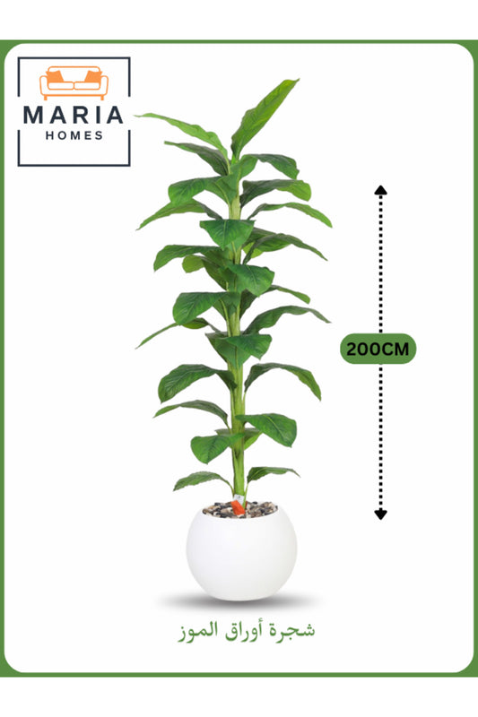 Artificial Banana Leaf Tree 200 cm Ð Indoor Decorative Plant with White Pot