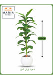 Artificial Banana Leaf Tree 200 cm Ð Indoor Decorative Plant with White Pot