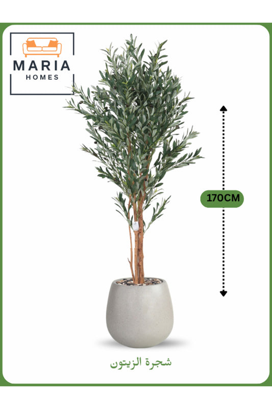 Artificial Olive Tree 170 cm Ð Decorative Indoor Tree with Light Gray Pot
