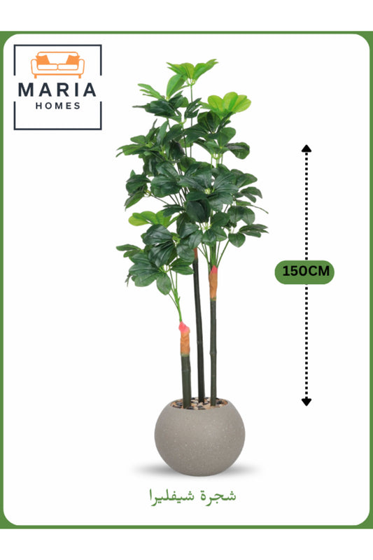 Artificial Schefflera Tree 150 cm Ð Decorative Indoor Plant with Gray Pot