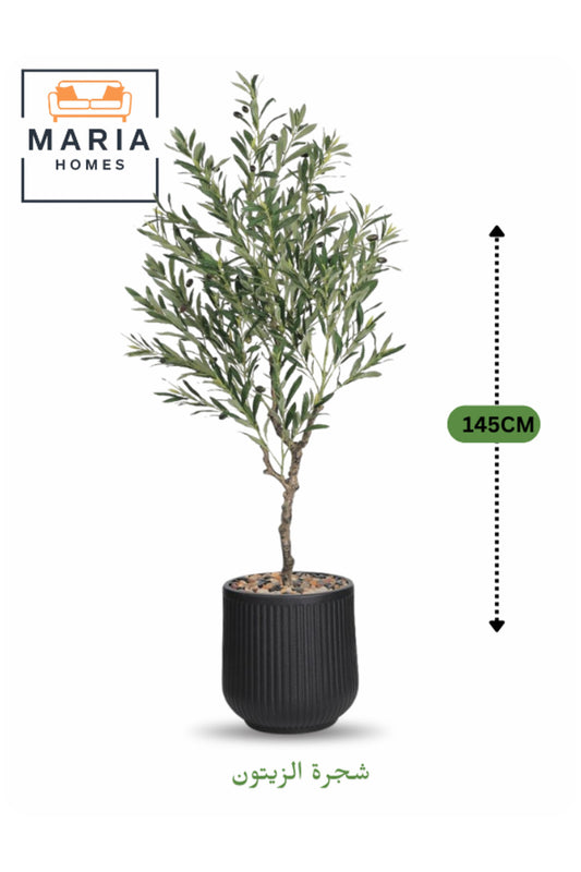 Artificial Olive Tree 145 cm Ð Black Pot Indoor Decor