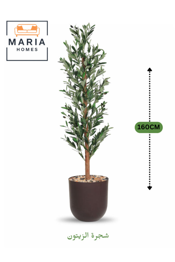 Artificial Olive Tree 160 cm Ð Tall Decorative Plant with Brown Plastic Pot for home & office