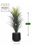Artificial Cactus Plant 110 cm Ð Decorative Indoor Plant with Black Pot for Home & Office