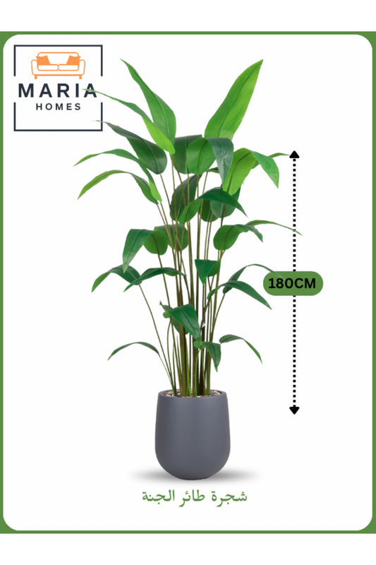 Artificial Bird of Paradise Tree 180 cm Ð Tall Indoor Plant with Gray Pot
