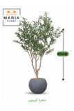 Artificial Olive Tree 200 cm Ð Green Foliage with Dark Grey Fiber Pot for home & office decor
