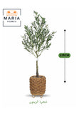 Artificial Olive Tree 125 cm Ð Decorative Green Plant with Woven Basket Pot for home & office