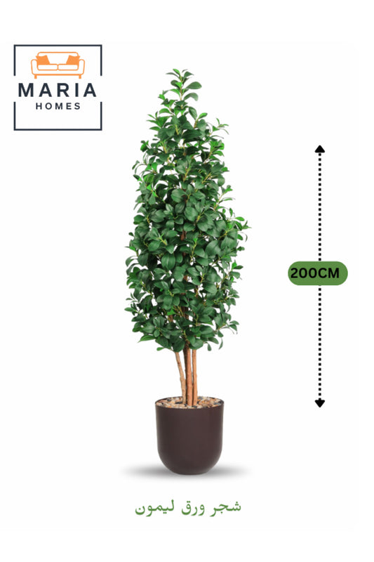 Artificial Lemon Leaf Tree 200 cm Ð Green Foliage in Brown Plastic Pot for home decor
