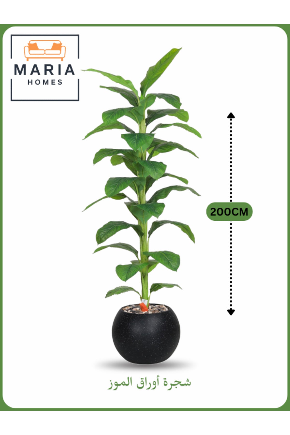 Artificial Banana Leaf Tree 200 cm Ð Tall Faux Plant with Black Pot