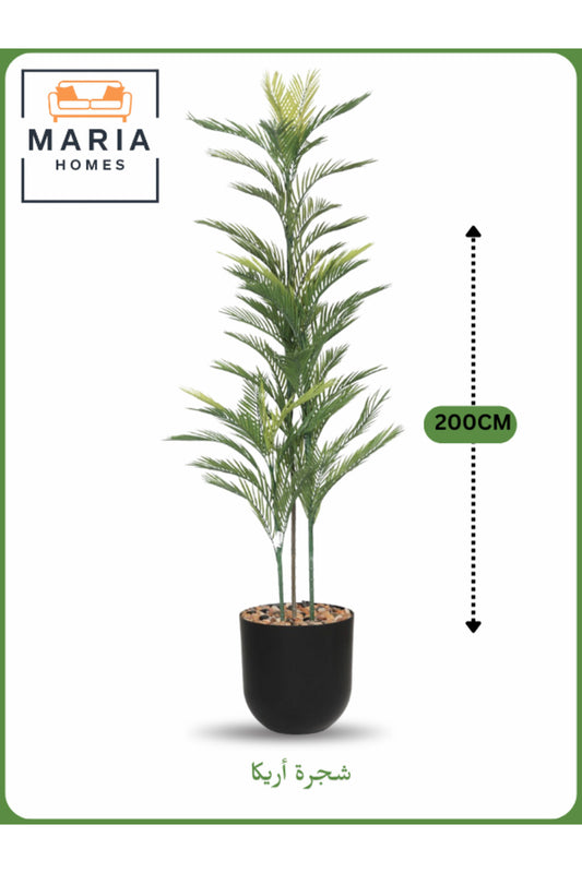 Artificial Areca Palm Tree 200 cm Ð Tall Decorative Indoor Plant with Black Pot