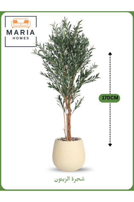 Artificial Olive Tree 170 cm Ð Decorative Indoor Tree with Beige Pot