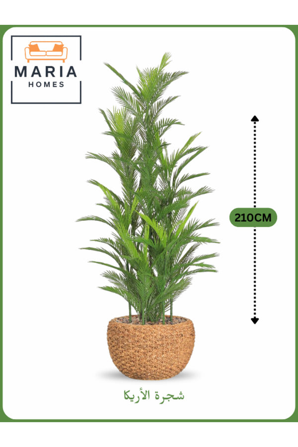 Artificial Areca Palm Tree 210cm with 9 Branches in Yellow Pot Ð Elegant Indoor Decoration