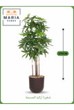 Artificial Aralia Tree 170 cm Ð 5 Branches with Brown Plastic Pot