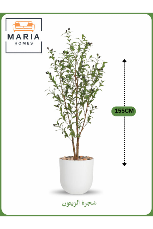 Artificial Olive Tree 155 cm Ð Indoor Decorative Plant with White Pot