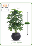 Artificial Jasmine Leaf Plant 105 cm Ð Decorative Indoor Plant Black with silver Pot