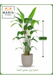 Artificial Bird of Paradise Tree 180 cm Ð Tall Indoor Plant with Beige Pot