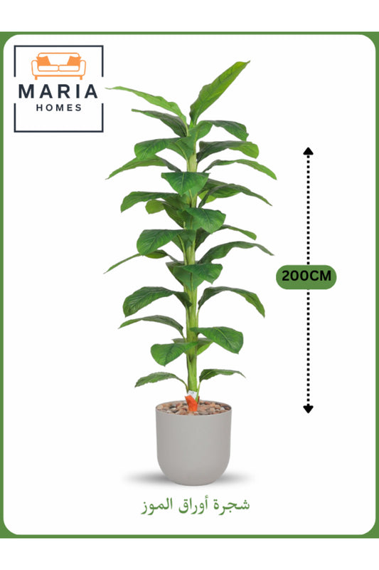 Artificial Banana Leaf Tree 200 cm Ð Tall Indoor Plant with Light Gray Pot