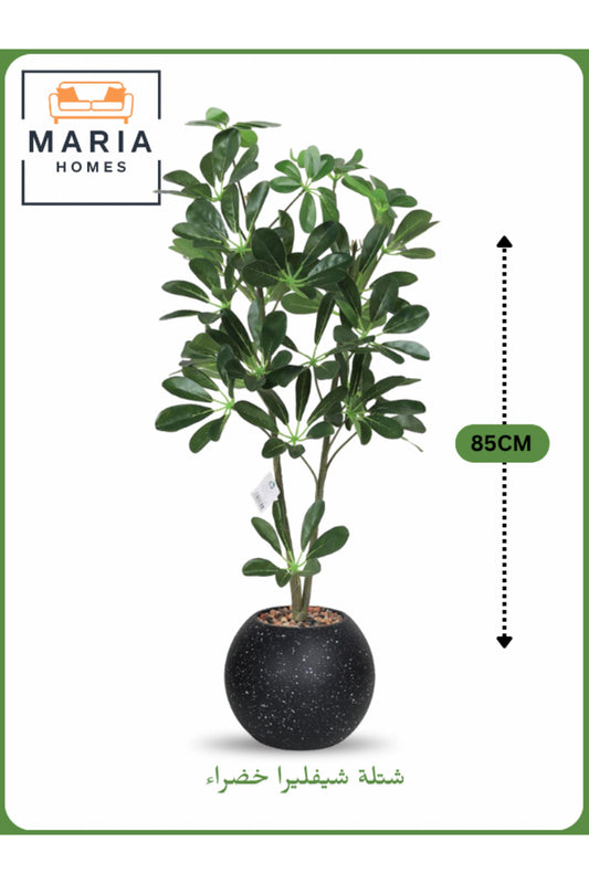 Artificial Schefflera Plant 85 cm Ð Decorative Indoor Plant with Black Pot