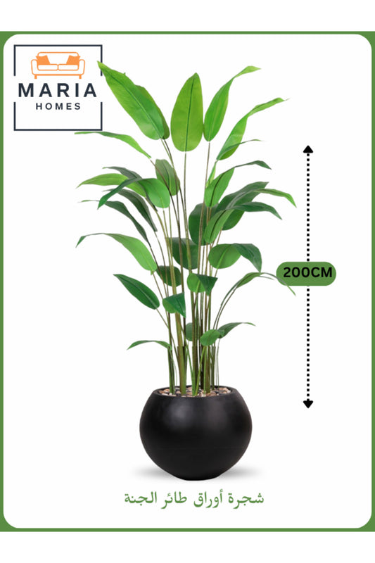 Artificial Bird of Paradise Tree 200 cm Ð Decorative Indoor Plant with Black Pot
