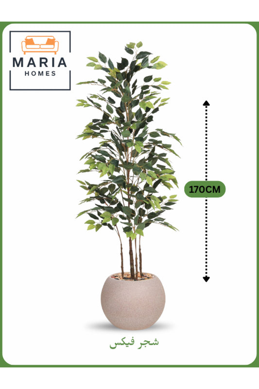 Artificial Ficus Tree 170 cm Ð Indoor Decorative Plant with Beige Pot