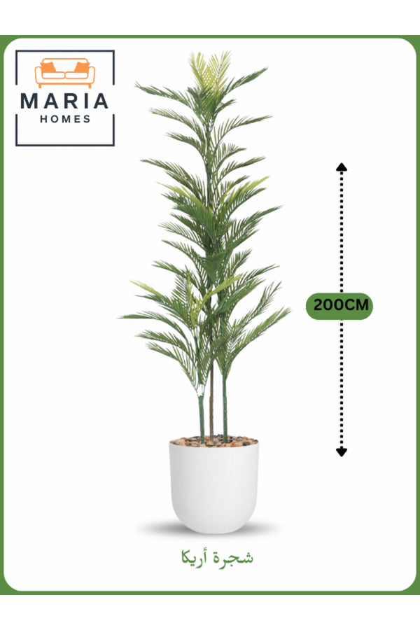 Artificial Areca Palm Tree 200 cm Ð Tall Decorative Indoor Plant with White Pot