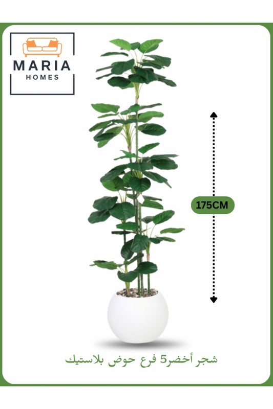 Artificial Decorative Plant Ð 175 cm Tall with White Pot