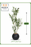 Artificial Olive Leaf Plant 80 cm Ð Decorative Indoor Shrub with Black Pot