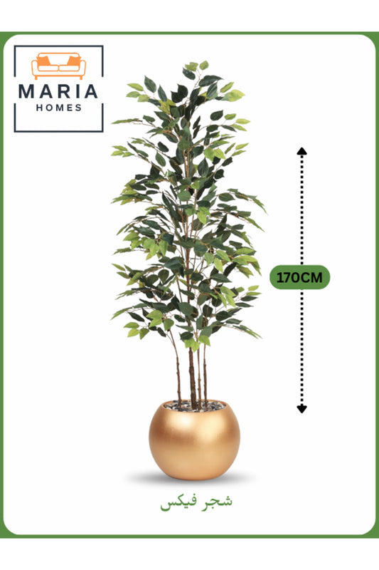 Artificial Ficus Tree 170 cm Ð Indoor Decorative Plant with Gold Pot
