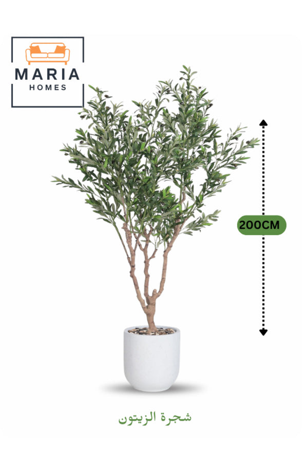Artificial Olive Tree 200 cm Ð Decorative Plant in White Fiber Pot for home & office decor