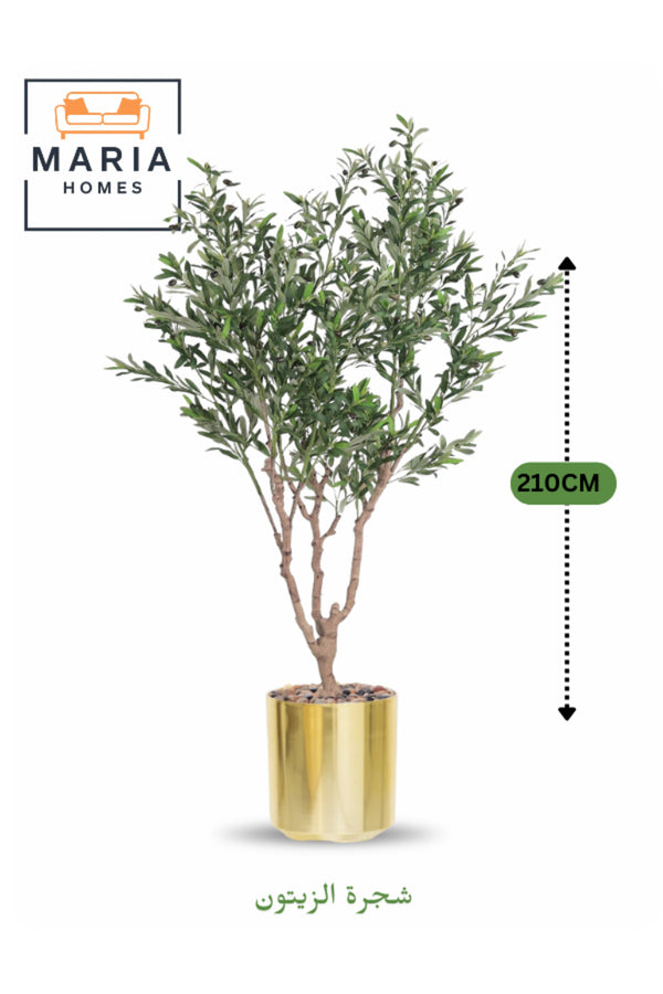 Artificial Olive Tree 210 cm Ð Green Foliage with Gold Plastic Pot for home & office decor