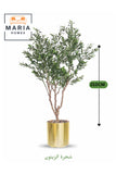 Artificial Olive Tree 210 cm Ð Green Foliage with Gold Plastic Pot for home & office decor