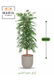 Artificial Bamboo Tree 155 cm Ð Decorative Green Plant with Beige Plastic Pot for home & office